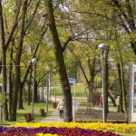Duża dotacja na zagospodarowanie zieleni w Piastowie