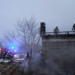 Pożar pod Żabią Wolą. Pięć zastępów straży w akcji