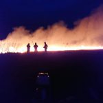 Ogromny pożar między Błoniem a Ożarowem [FOTO]