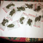 15-latek złapany z 13 gramami marihuany