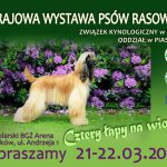 Krajowa wystawa psów rasowych w Pruszkowie